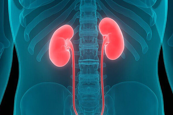 bobrek-kanseri-